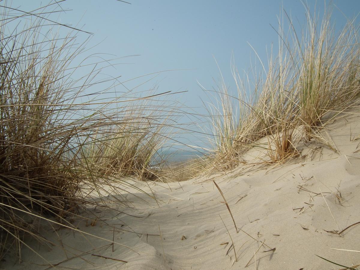 Hollumerstrand Hollum  Luaran gambar